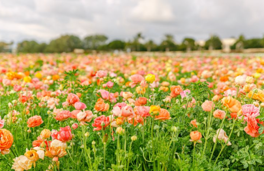 Green restart with new business model